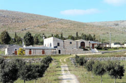 vendita masseria puglia altamura concetta relli